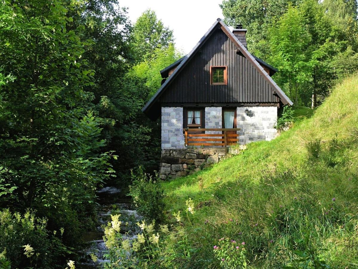 Converted Old Mill In St Georgen Inblack Forest St. Georgen im Schwarzwald Exterior foto