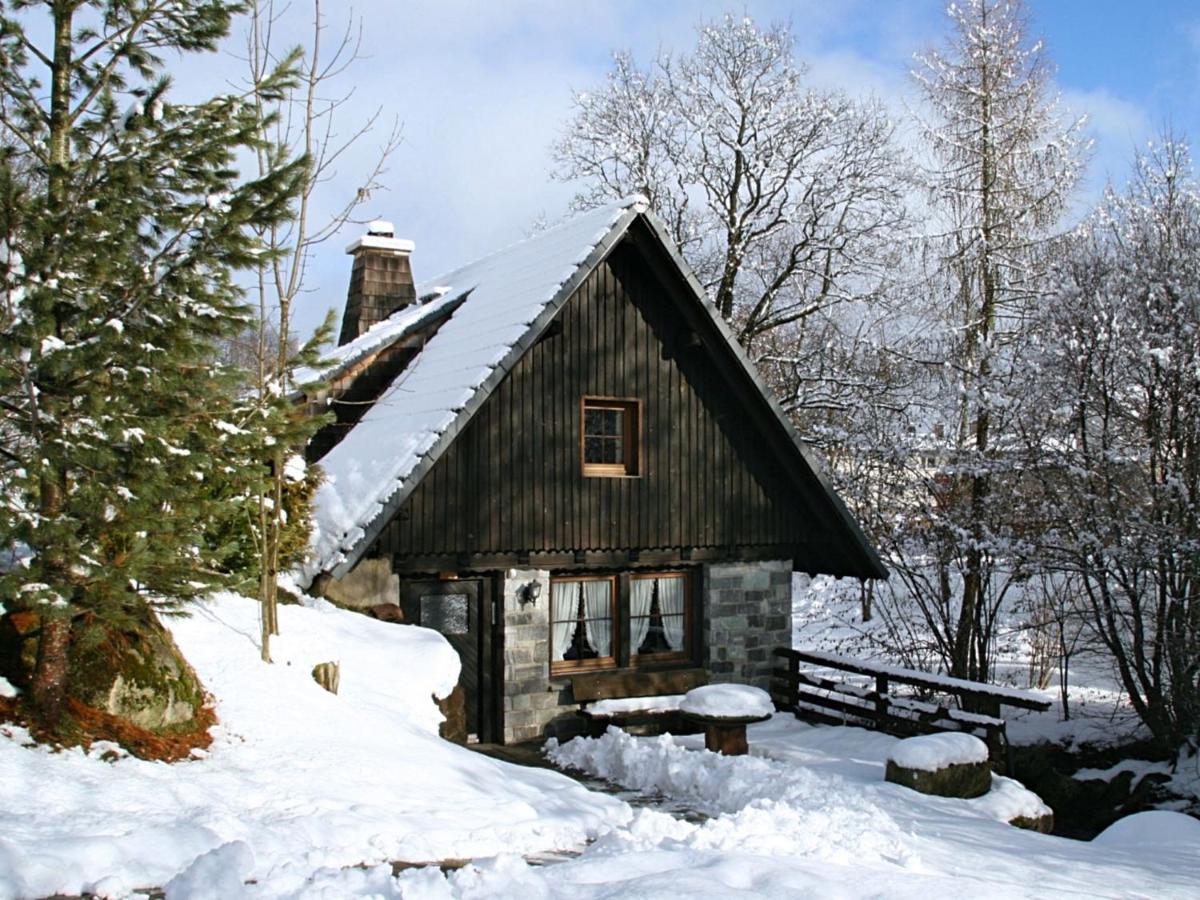 Converted Old Mill In St Georgen Inblack Forest St. Georgen im Schwarzwald Exterior foto
